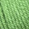 Woolcraft new fashion dk 100g green